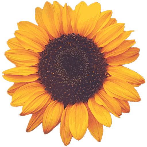 SunflowerSign